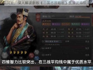 探索三国风云，深入解读新版《三国志战略版》贾诩武将玩法全解析