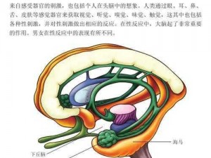 高H抽插不能合拢,高 H 抽插导致下身肿痛，不能合拢，怎么办？