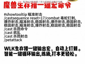 基于WLK射击猎人输出宏的实战操作指南