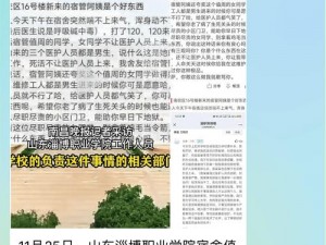 吃瓜国产精品另类网爆，一款拥有丰富视频资源的在线观看 APP