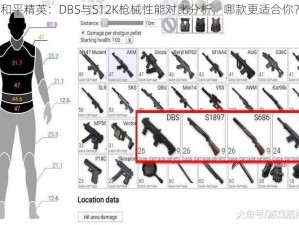 和平精英：DBS与S12K枪械性能对比分析，哪款更适合你？