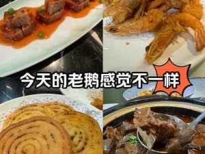 鹅鸭杀拉警报场景揭秘：探寻鹅鸭如何发出警报信号及其影响地域分析