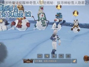 哈利波特魔法觉醒神奇雪人踪迹揭秘：探寻神秘雪人隐匿之地