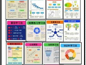 挑战高手攻略：掌握核心技能，实现平衡发展的终极挑战