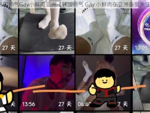 韩国帅气Gay小鲜肉亚洲【韩国帅气 Gay 小鲜肉在亚洲备受关注】