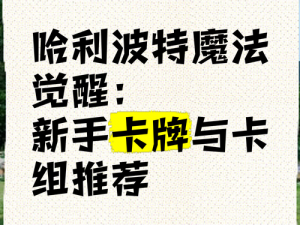 哈利波特魔法觉醒扶老携幼流卡组搭配攻略：优化策略与实战组合介绍