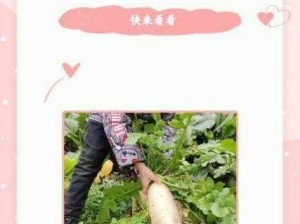 美女男生打扑克拔萝卜生物老師精品教学视频，让你轻松掌握生物知识