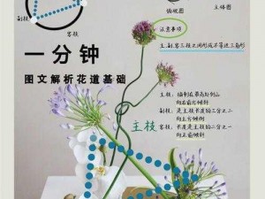 花剑枝条的多元用途：从装饰美学到实用价值的探索之旅