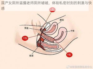 国产女厕所盗摄老师厕所嘘嘘，体验私密时刻的刺激与快感