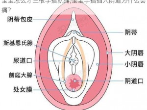 宝宝怎么才三根手指就痛,宝宝手指插入阴道为什么会痛？