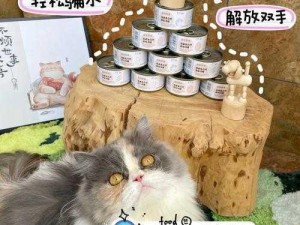 抖音猫罐头道具使用指南：揭秘制作与玩转技巧，让你的宠物瞬间变身萌宠达人