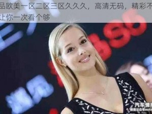 精品欧美一区二区三区久久久，高清无码，精彩不断，让你一次看个够