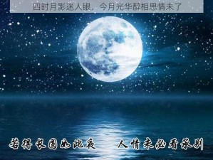 四时月影迷人眼，今月光华醉相思情未了