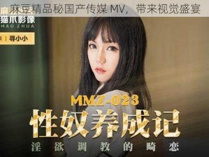 麻豆精品秘国产传媒 MV，带来视觉盛宴