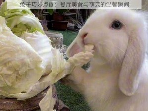 兔子巧妙点餐：餐厅美食与萌宠的温馨瞬间