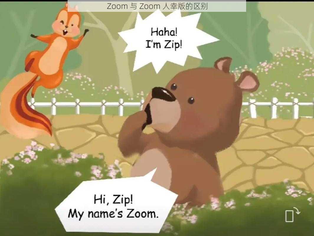 Zoom 与 Zoom 人幸版的区别