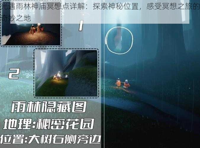 光遇雨林神庙冥想点详解：探索神秘位置，感受冥想之旅的奇妙之地