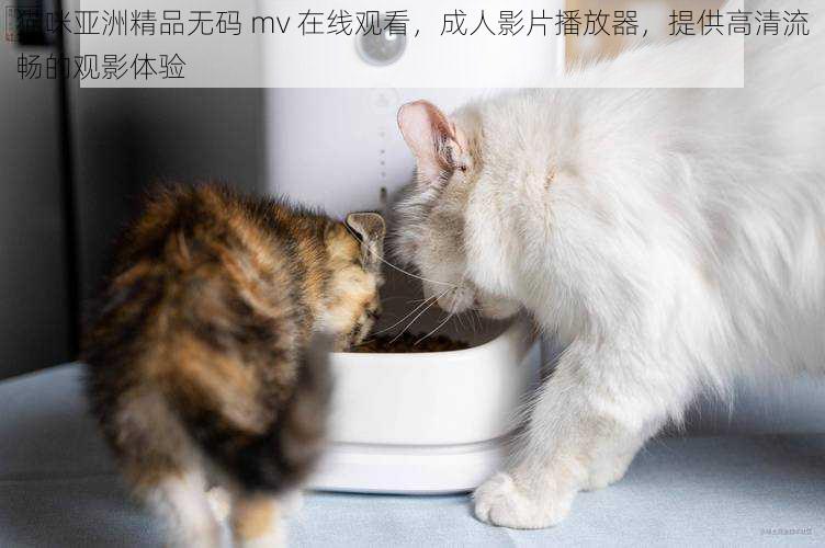 猫咪亚洲精品无码 mv 在线观看，成人影片播放器，提供高清流畅的观影体验