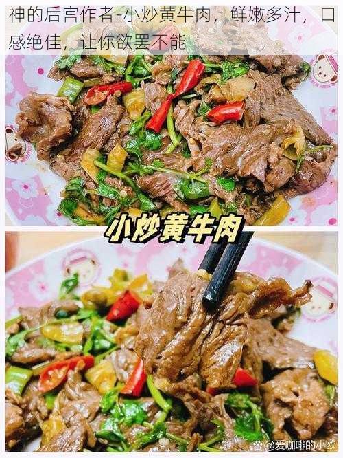 神的后宫作者-小炒黄牛肉，鲜嫩多汁，口感绝佳，让你欲罢不能