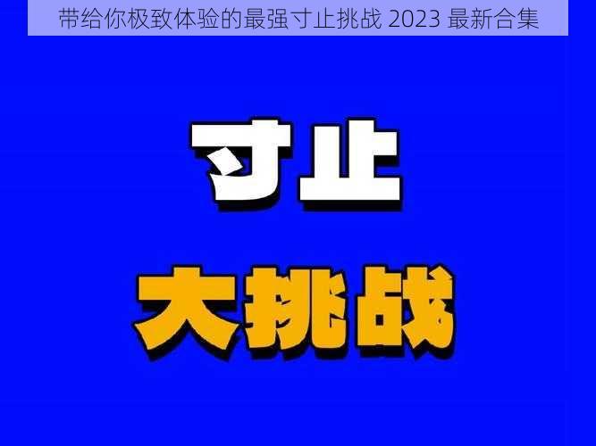 带给你极致体验的最强寸止挑战 2023 最新合集