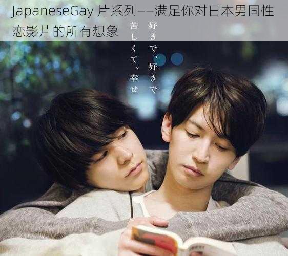 JapaneseGay 片系列——满足你对日本男同性恋影片的所有想象