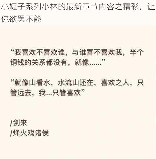 小婕子系列小林的最新章节内容之精彩，让你欲罢不能