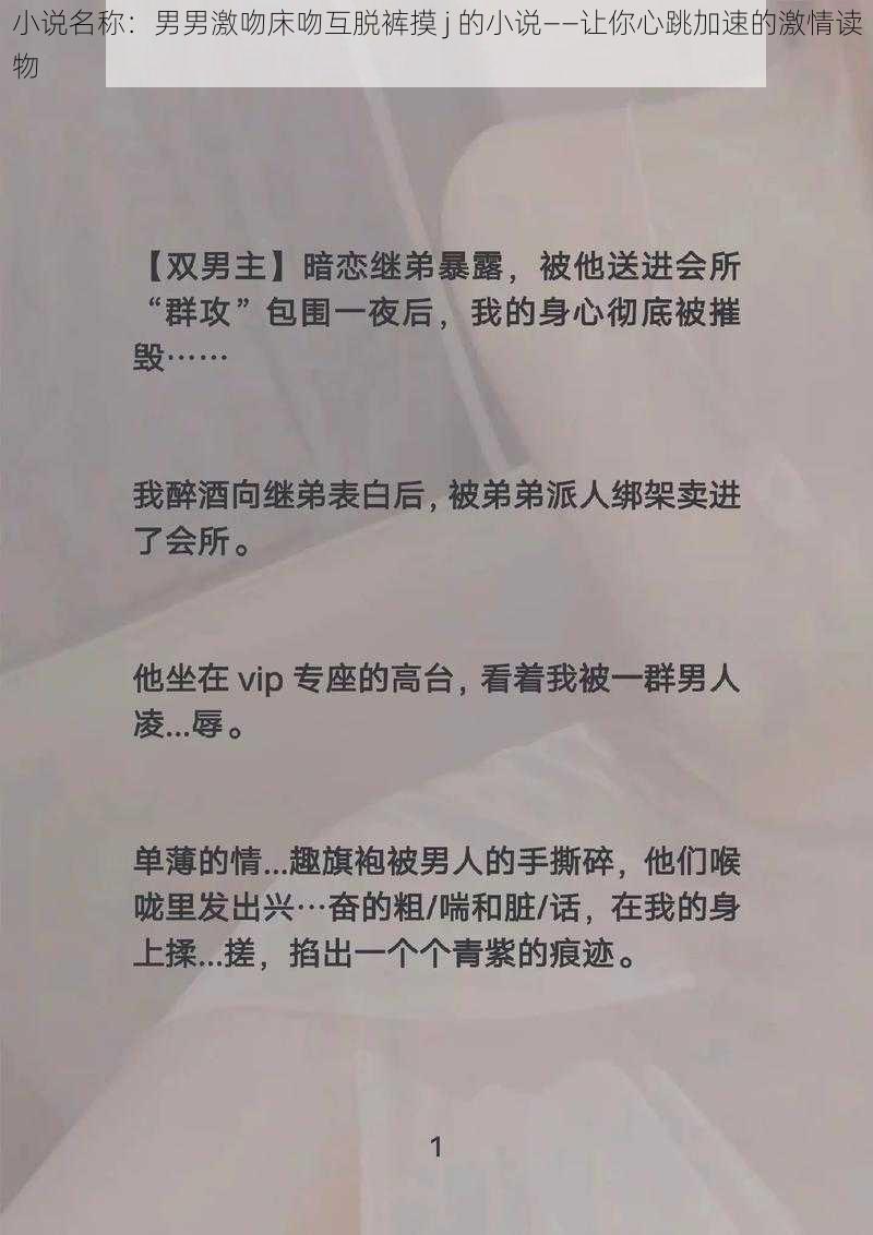 小说名称：男男激吻床吻互脱裤摸 j 的小说——让你心跳加速的激情读物