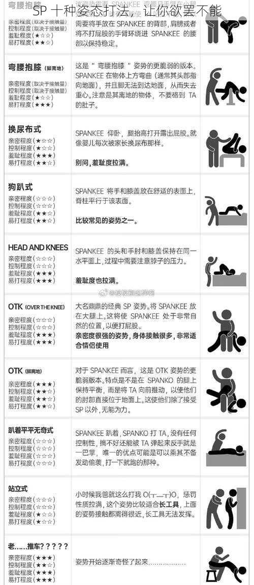 SP 十种姿态打法，让你欲罢不能