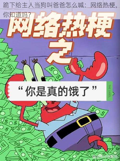 跪下给主人当狗叫爸爸怎么喊：网络热梗，你知道吗？