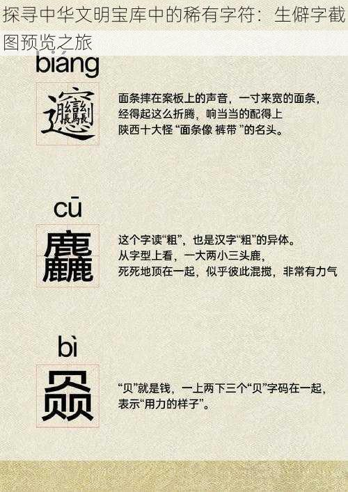 探寻中华文明宝库中的稀有字符：生僻字截图预览之旅