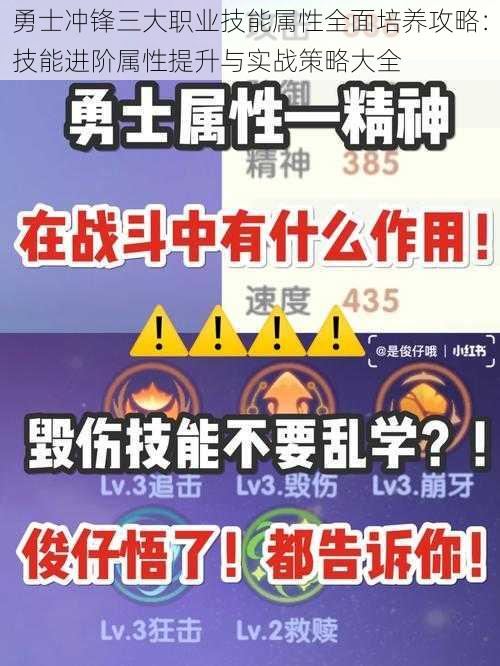 勇士冲锋三大职业技能属性全面培养攻略：技能进阶属性提升与实战策略大全