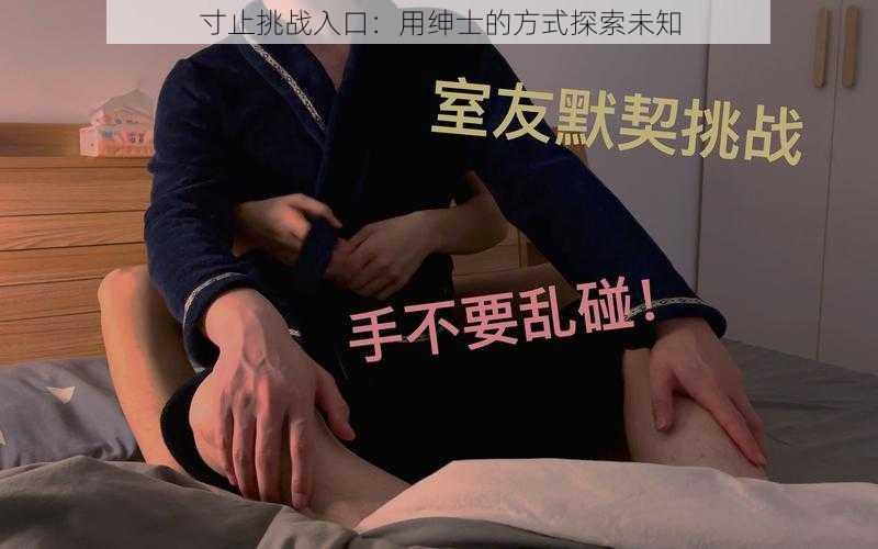 寸止挑战入口：用绅士的方式探索未知