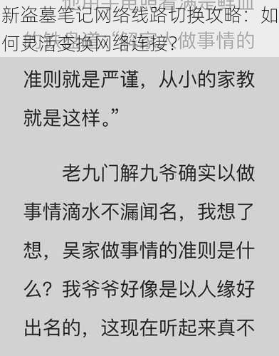 新盗墓笔记网络线路切换攻略：如何灵活变换网络连接？