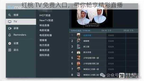 红桃 TV 免费入口，带你畅享精彩直播