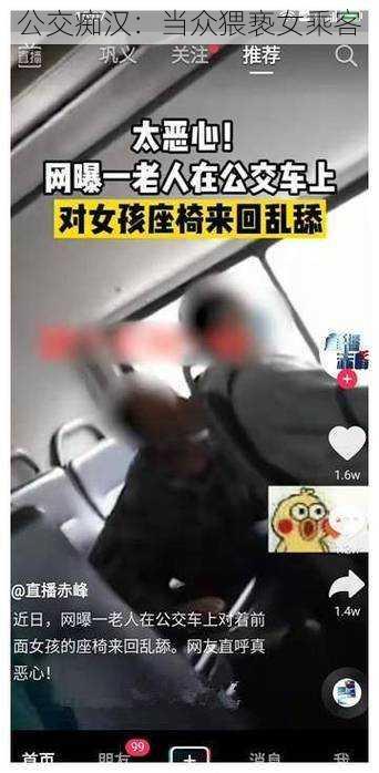 公交痴汉：当众猥亵女乘客