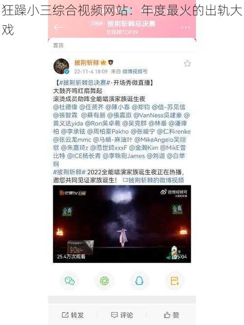 狂躁小三综合视频网站：年度最火的出轨大戏