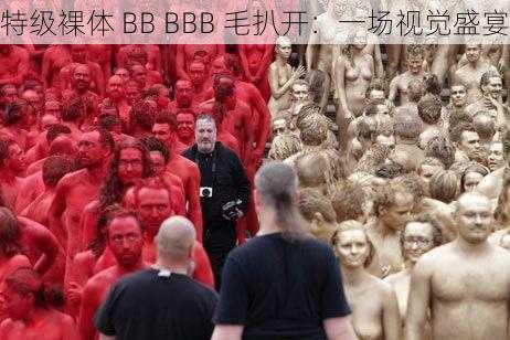 特级裸体 BB BBB 毛扒开：一场视觉盛宴