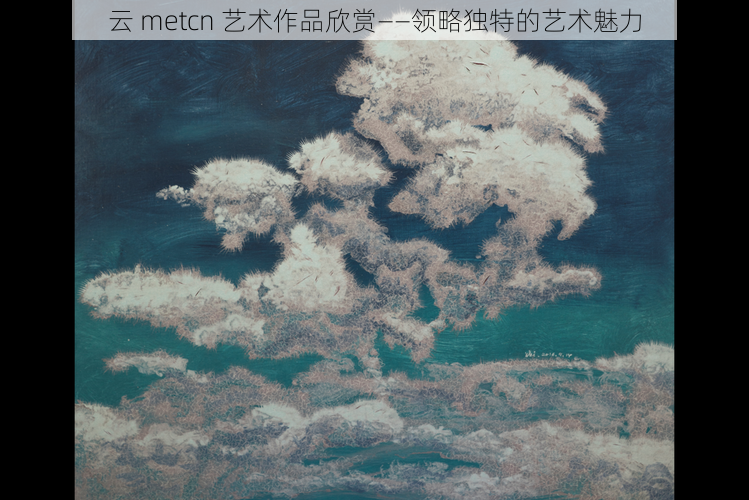 云 metcn 艺术作品欣赏——领略独特的艺术魅力