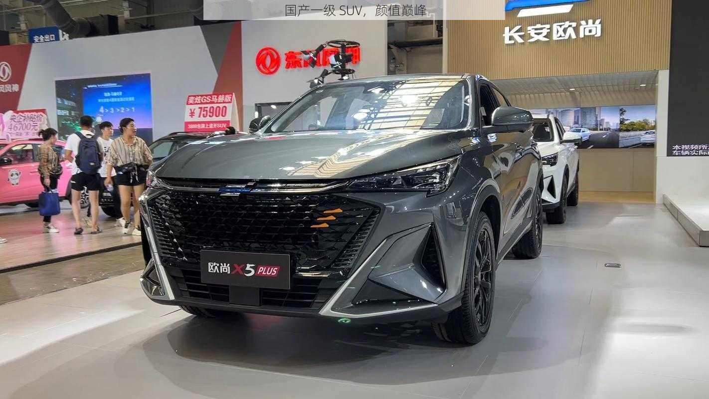 国产一级 SUV，颜值巅峰