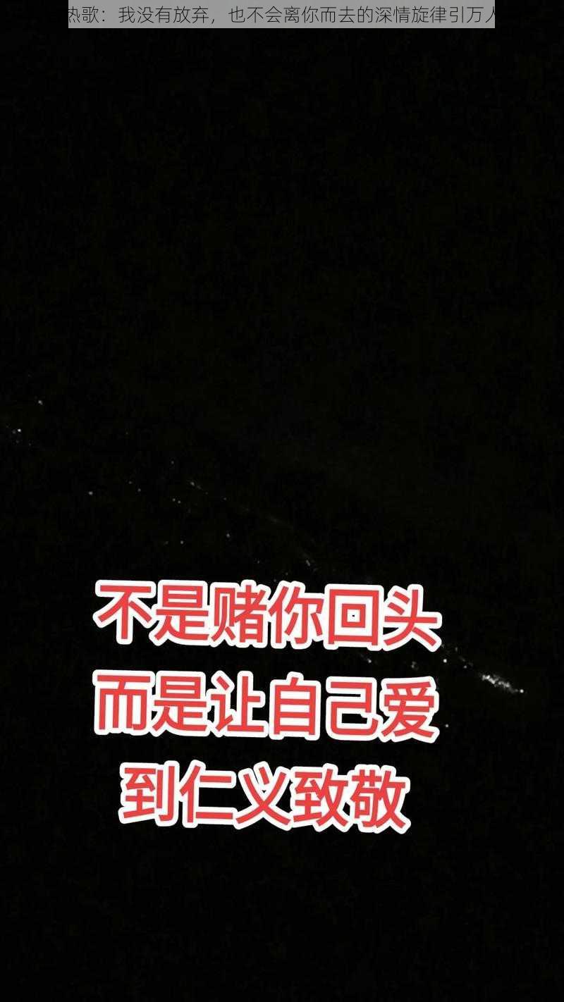 抖音热歌：我没有放弃，也不会离你而去的深情旋律引万人共鸣