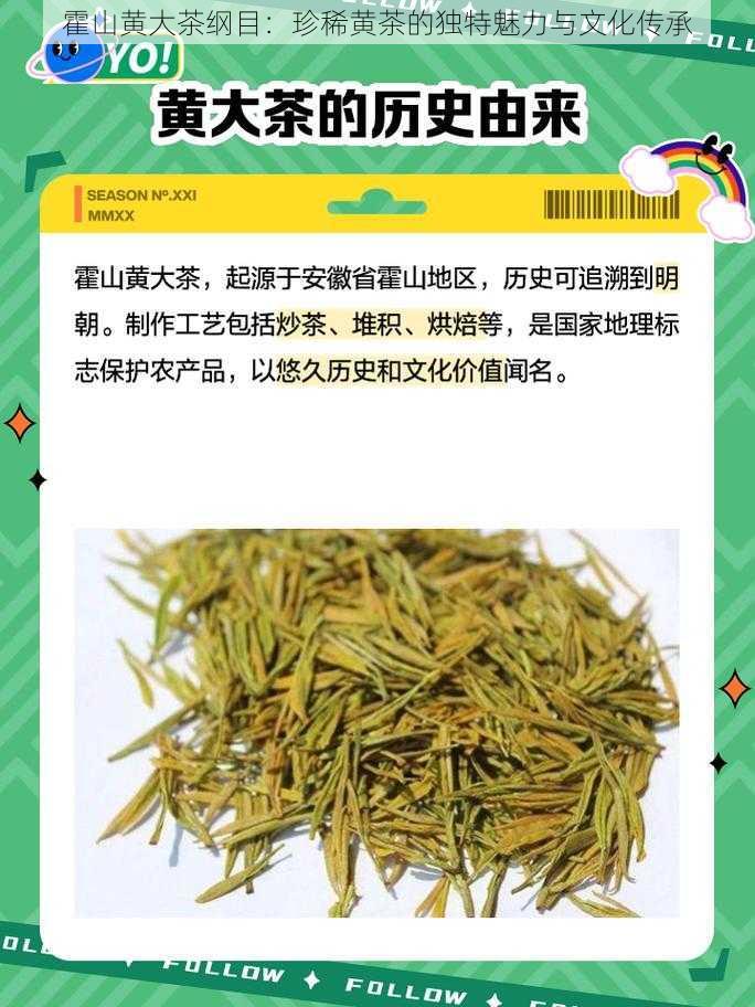 霍山黄大茶纲目：珍稀黄茶的独特魅力与文化传承