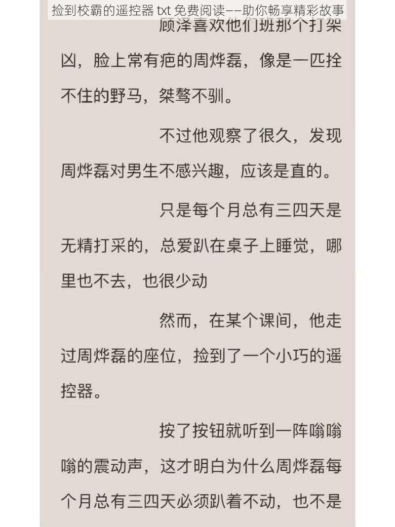 捡到校霸的遥控器 txt 免费阅读——助你畅享精彩故事