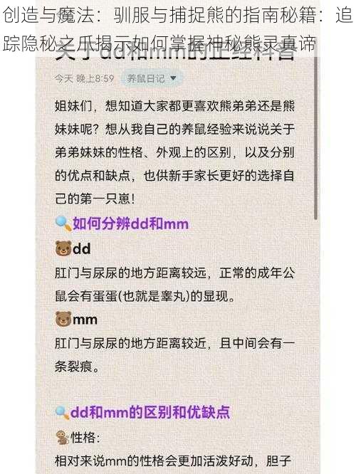 创造与魔法：驯服与捕捉熊的指南秘籍：追踪隐秘之爪揭示如何掌握神秘熊灵真谛