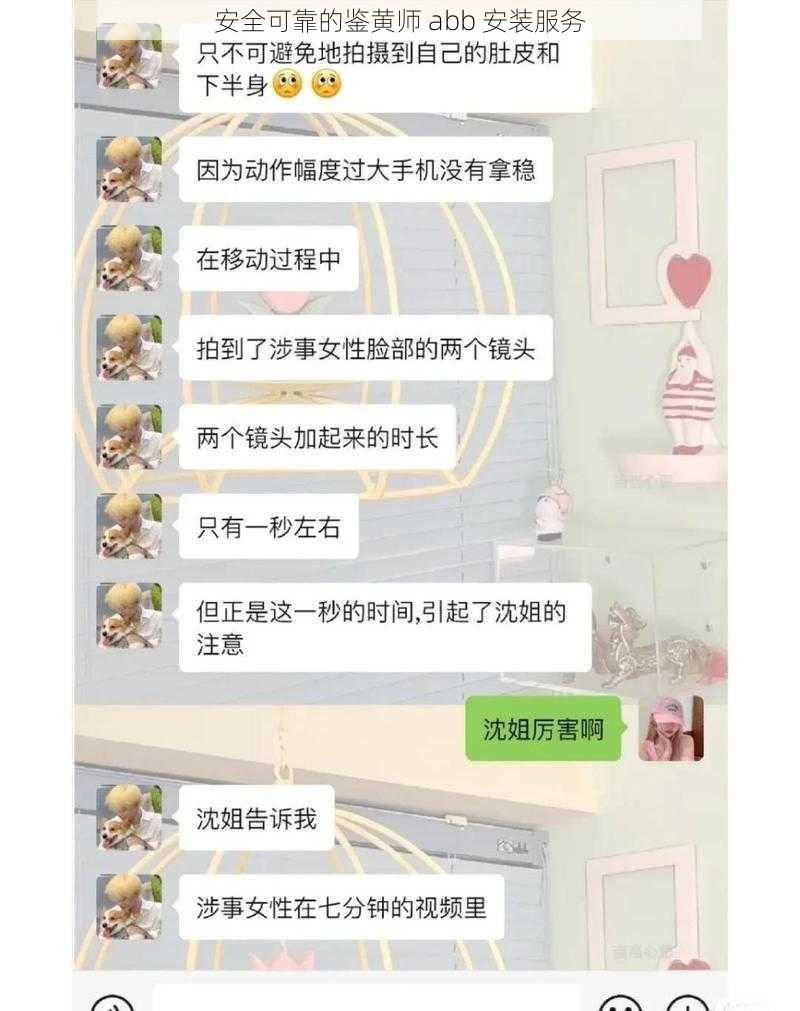 安全可靠的鉴黄师 abb 安装服务