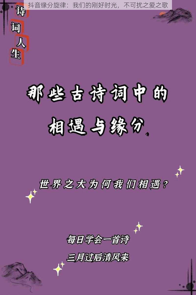 抖音缘分旋律：我们的刚好时光，不可扰之爱之歌