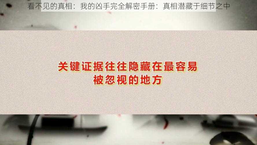 看不见的真相：我的凶手完全解密手册：真相潜藏于细节之中