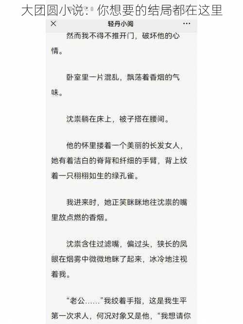 大团圆小说：你想要的结局都在这里