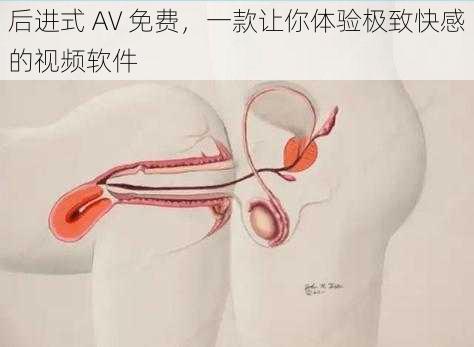 后进式 AV 免费，一款让你体验极致快感的视频软件