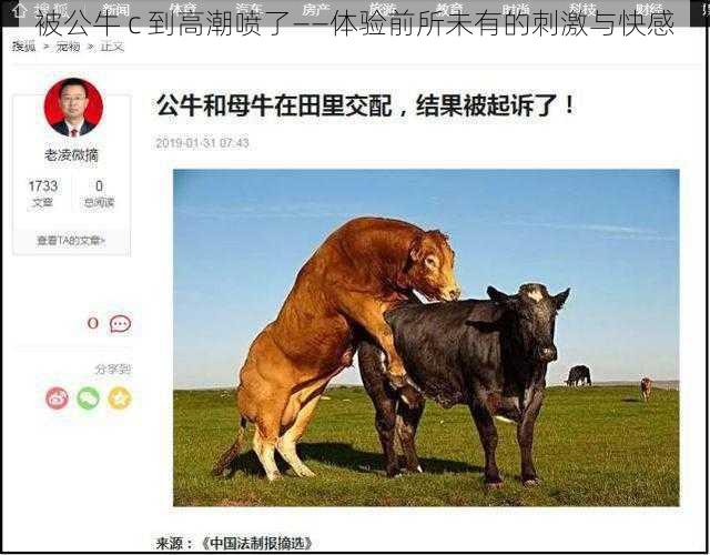 被公牛 c 到高潮喷了——体验前所未有的刺激与快感