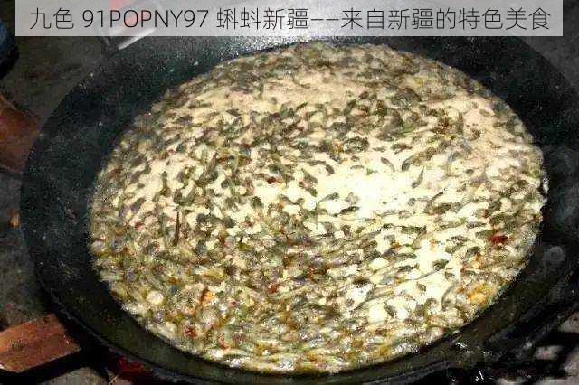 九色 91POPNY97 蝌蚪新疆——来自新疆的特色美食